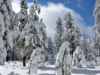 Flagstaff Snow  Flagstaff Snow : az snow flagstaff winter