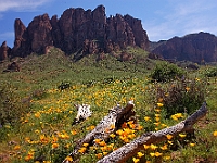 Superstition Mountains  Superstition Mountains : az mountain superstition flowers