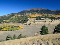 San Francisco Peaks in Autumn  San Francisco Peaks in Autumn : san francisco autumn aspen peak