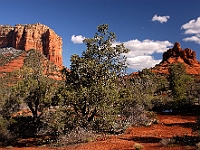 Sedona in Winter  Sedona in Winter : sedona az red rock snow