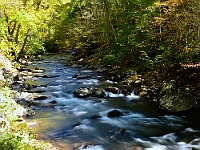 Autumn Stream in the Great Smokey Mountains  Autumn Stream in the Great Smokey Mountains : autumn fall nc smokey mountains