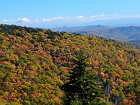 Autumn in the NC Highlands  Autumn in the NC Highlands : autumn fall nc blue ridge