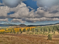 Hart Prarie, AZ  Hart Prarie, AZ (HDR) : autumn fall az hart prarie aspen hdr