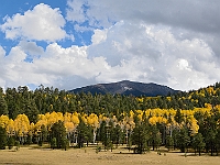 DSC 1669 altered  Mt. Humphreys in Autumn (AZ) : autumn fall az mountain humphreys aspen