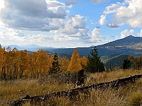 DSC 1857  Mt. Humphreys in Autumn (AZ) : autumn fall az mountain humphreys aspen