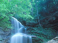 Cathedral Falls  Cathedral Falls : wv waterfall cathedral