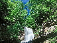 Cathedral Falls  Cathedral Falls : wv waterfall cathedral