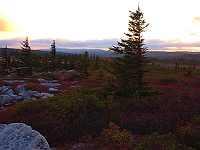 Dolly Sods Sunset  Dolly Sods Sunset : wv dolly sods sunset