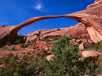 1135  Landscape Arch, Arches National Park