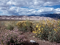 1165  Great Sand Dunes National Monument