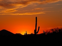 Arizona Sunset  Arizona Sunset : az sunset