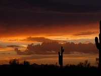 Arizona Sunset  Arizona Sunset : az sunset