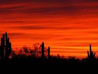 Arizona Sunset  Arizona Sunset : az sunset