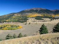 San Francisco Peaks in Autumn  San Francisco Peaks in Autumn : san francisco autumn aspen peak