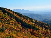 Autumn in the NC Highlands  Autumn in the NC Highlands : autumn fall nc blue ridge