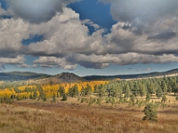 Hart Prarie, AZ  Hart Prarie, AZ (HDR) : autumn fall az hart prarie aspen hdr