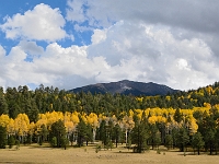 DSC 1669 altered  Mt. Humphreys in Autumn (AZ) : autumn fall az mountain humphreys aspen