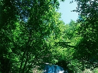 Crabtree Meadows Falls, NC  Crabtree Meadows Falls, NC : nc waterfalls crabtree meadows