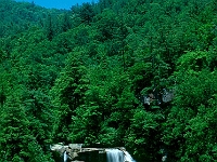 Whitewater Falls, NC  Whitewater Falls, NC : nc waterfalls whitewater