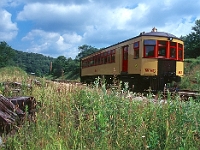 Salamander Train  Salamander Train : wv train