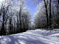 Snow Scene at Babcock State Park  Snow Scene at Babcock State Park : wv snow babcock winter park