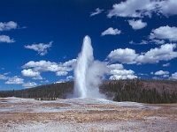 Yellowstone - Grand Tetons