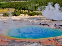 The Grand Prismatic Pool, Yellowstone NP  The Grand Prismatic Pool, Yellowstone NP : yellowstone grand prismatic national park