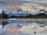 Sunrise Over Mount Moran, Grand Teton NP  Sunrise Over Mount Moran, Grand Teton NP : grand teton national park autumn mountain moran