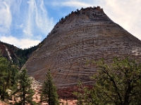 Checkerboard Mesa  Checkerboard Mesa, Zion NP