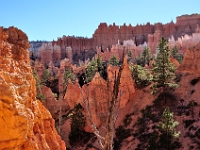 Bryce Amphitheater  Bryce Amphitheater, Bryce Canyon NP