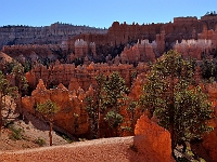 Bryce Amphitheater  Bryce Amphitheater, Bryce Canyon NP