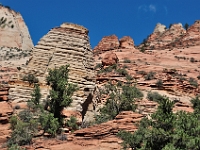 Interesting Rocks in Zion NP  Interesting Rocks in Zion NP : zion national park red rock