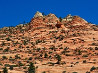 Zion Redrock  Zion Redrock : zion national park red rock